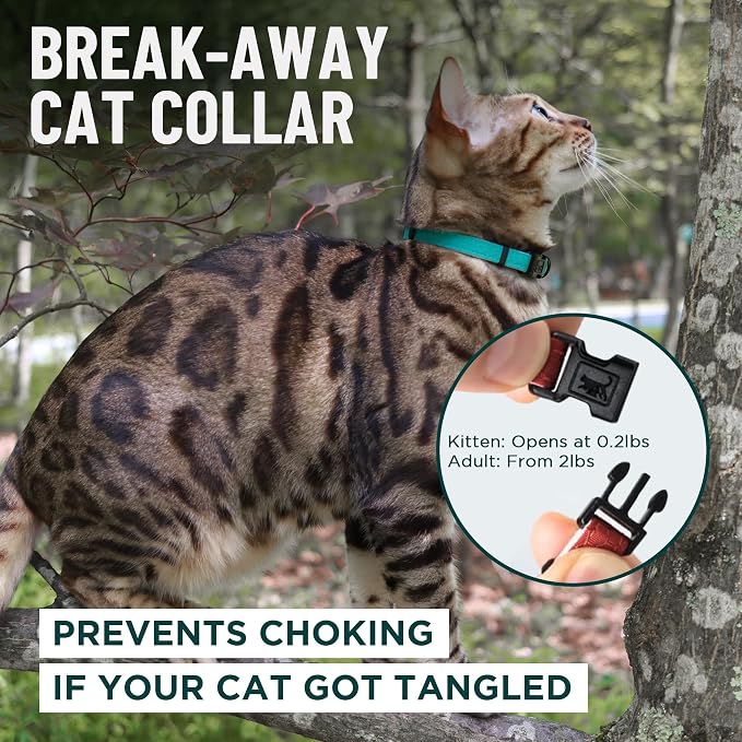 OutdoorBengal Pink Cat Collar Breakaway - Image 2
