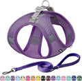 AIITLE No Pull Dog Harness and Leash Set, Step in Adjustable Dog Harness by AIITLE-FORPETSBETTERLIFE
