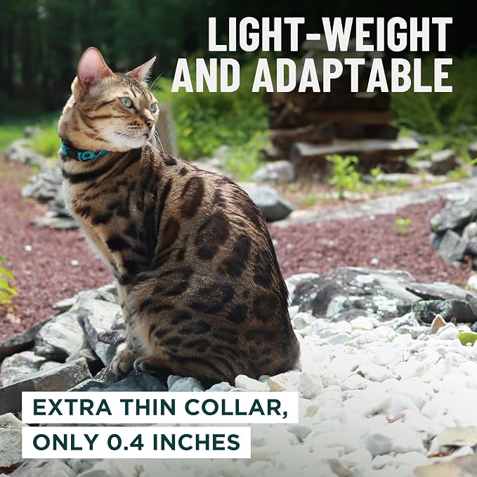 OutdoorBengal Pink Cat Collar Breakaway - Image 6