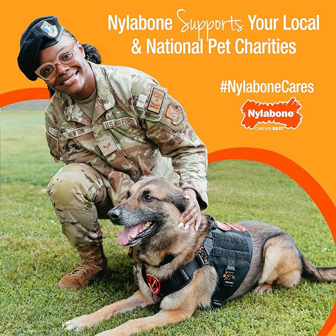 Nylabone Original Bone Flexi Chew Toy - Image 7