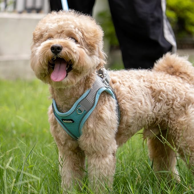 AIITLE Comfortable Dog Harness and Leash Set - Image 5